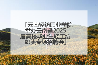 云南轻纺职业学院举办云南省2025届高校毕业生轻工纺织类专场招聘会