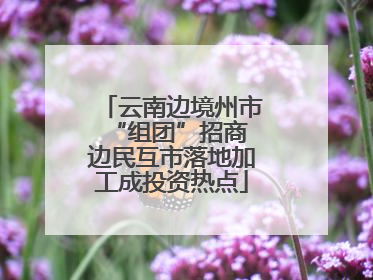 云南边境州市“组团”招商 边民互市落地加工成投资热点