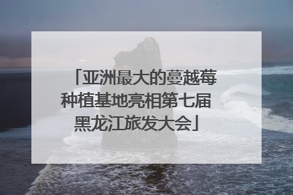亚洲最大的蔓越莓种植基地亮相第七届黑龙江旅发大会