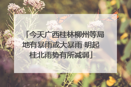 今天广西桂林柳州等局地有暴雨或大暴雨 明起桂北雨势有所减弱