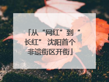 从“网红”到“长红” 沈阳首个非遗街区开街