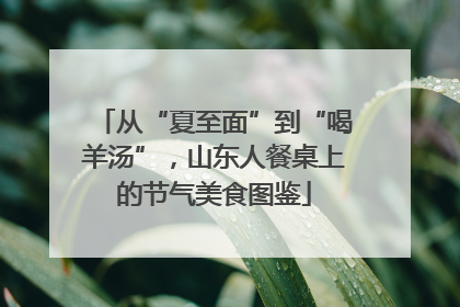 从“夏至面”到“喝羊汤”，山东人餐桌上的节气美食图鉴