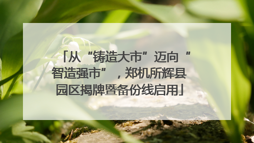 从“铸造大市”迈向“智造强市”，郑机所辉县园区揭牌暨备份线启用