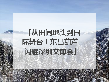 从田间地头到国际舞台！东昌葫芦闪耀深圳文博会