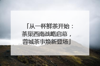 从一杯鲜茶开始：茶巢西南战略启幕，蓉城茶事焕新登场