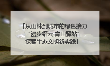 从山林到城市的绿色接力 “漫步缙云·青山驿站”探索生态文明新实践