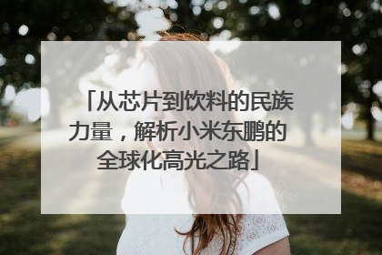 从芯片到饮料的民族力量，解析小米东鹏的全球化高光之路