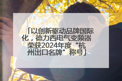 以创新驱动品牌国际化，德力西电气变频器荣获2024年度“杭州出口名牌”称号