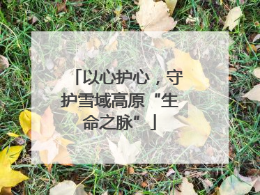 以心护心，守护雪域高原“生命之脉”