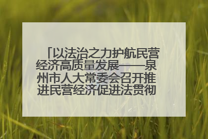 以法治之力护航民营经济高质量发展——泉州市人大常委会召开推进民营经济促进法贯彻实施座谈会