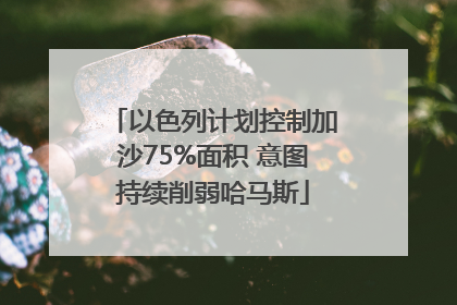 以色列计划控制加沙75%面积 意图持续削弱哈马斯