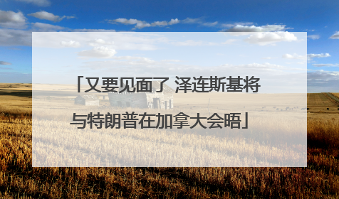 又要见面了 泽连斯基将与特朗普在加拿大会晤