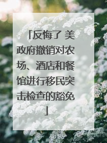 反悔了 美政府撤销对农场、酒店和餐馆进行移民突击检查的豁免