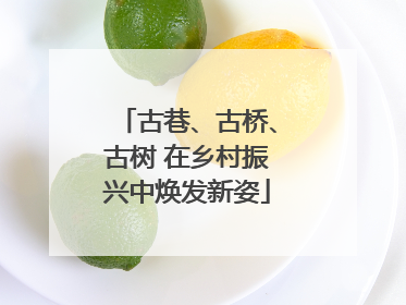 古巷、古桥、古树 在乡村振兴中焕发新姿