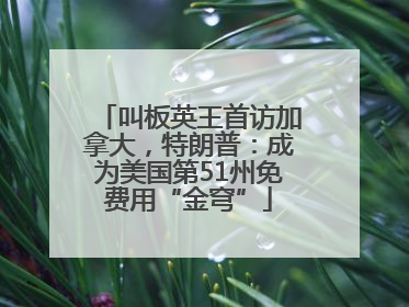 叫板英王首访加拿大，特朗普：成为美国第51州免费用“金穹”