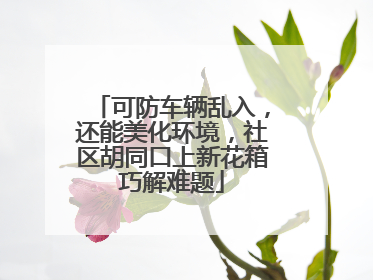 可防车辆乱入，还能美化环境，社区胡同口上新花箱巧解难题