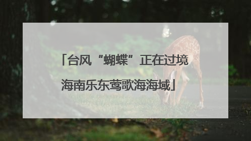 台风“蝴蝶”正在过境海南乐东莺歌海海域