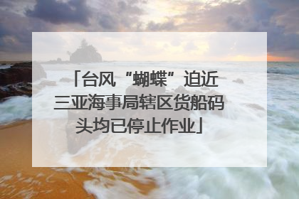 台风“蝴蝶”迫近 三亚海事局辖区货船码头均已停止作业