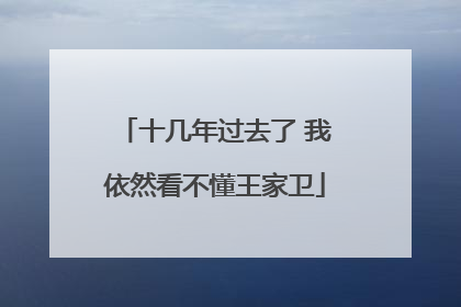 十几年过去了 我依然看不懂王家卫
