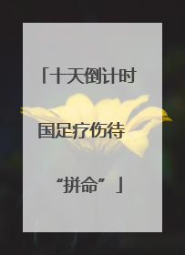 十天倒计时 国足疗伤待“拼命”