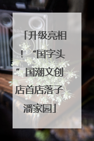 升级亮相！“国字头”国潮文创店首店落子潘家园