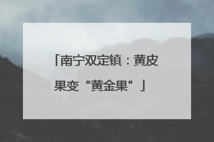 南宁双定镇：黄皮果变“黄金果”