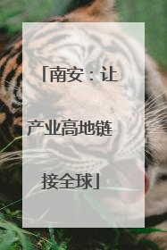 南安：让产业高地链接全球