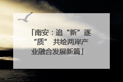 南安：追“新”逐“质” 共绘两岸产业融合发展新篇