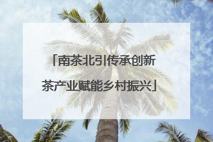 南茶北引传承创新 茶产业赋能乡村振兴