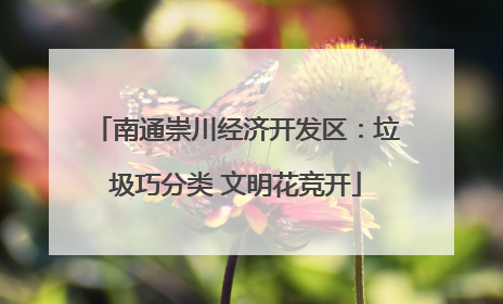 南通崇川经济开发区：垃圾巧分类 文明花竞开