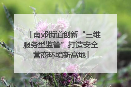 南郊街道创新“三维服务型监管”打造安全营商环境新高地