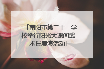 南阳市第二十一学校举行阳光大课间武术操展演活动