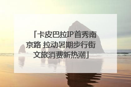 卡皮巴拉IP首秀南京路 拉动暑期步行街文旅消费新热潮