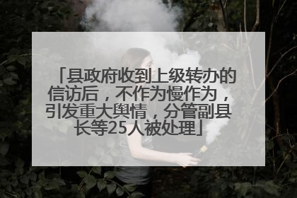 县政府收到上级转办的信访后，不作为慢作为，引发重大舆情，分管副县长等25人被处理