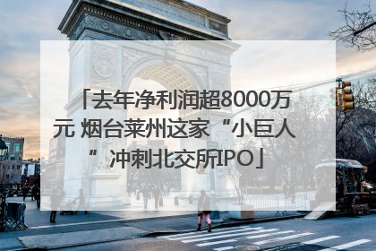 去年净利润超8000万元 烟台莱州这家“小巨人”冲刺北交所IPO