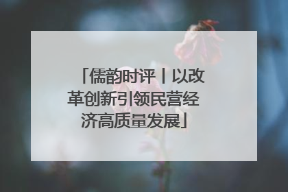儒韵时评丨以改革创新引领民营经济高质量发展