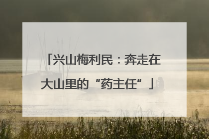 兴山梅利民：奔走在大山里的“药主任”