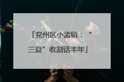 兖州区小孟镇：“三夏”收割话丰年