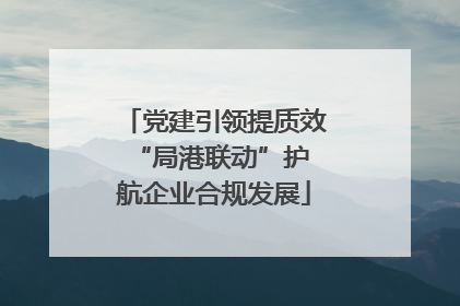 党建引领提质效 “局港联动”护航企业合规发展