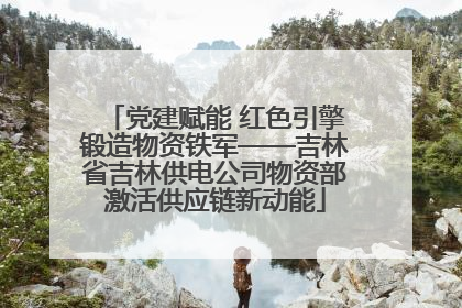 党建赋能 红色引擎锻造物资铁军——吉林省吉林供电公司物资部激活供应链新动能