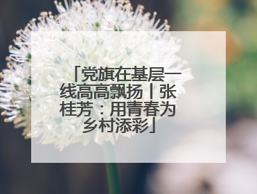 党旗在基层一线高高飘扬丨张桂芳：用青春为乡村添彩