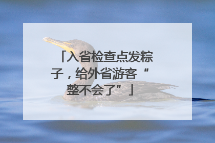 入省检查点发粽子，给外省游客“整不会了”