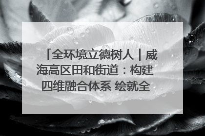 全环境立德树人｜威海高区田和街道：构建四维融合体系 绘就全环境立德树人新画卷
