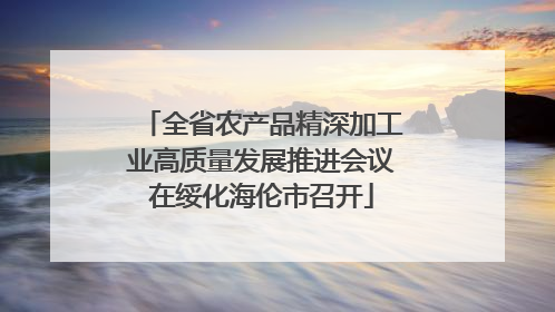 全省农产品精深加工业高质量发展推进会议在绥化海伦市召开