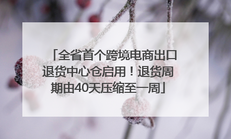 全省首个跨境电商出口退货中心仓启用！退货周期由40天压缩至一周