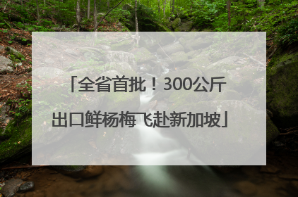 全省首批！300公斤出口鲜杨梅飞赴新加坡