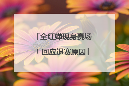 全红婵现身赛场！回应退赛原因