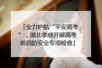 全力护航“平安高考”，湖北孝感开展高考前消防安全专项检查