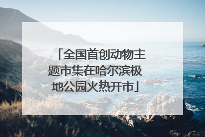 全国首创动物主题市集在哈尔滨极地公园火热开市