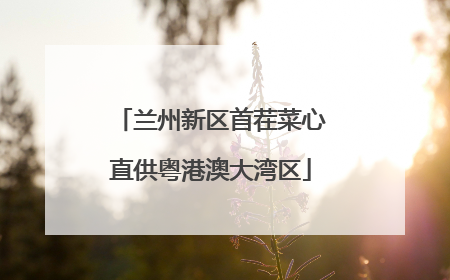 兰州新区首茬菜心直供粤港澳大湾区
